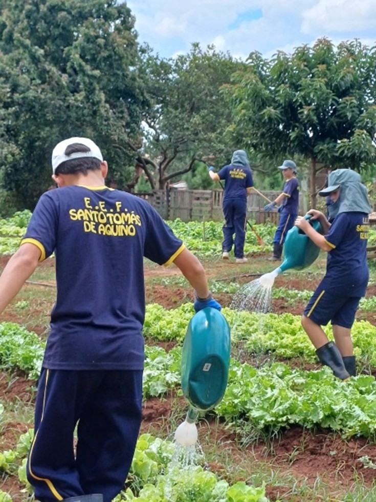 45644148686486644562465